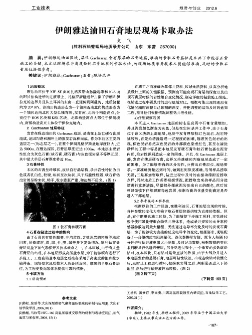 伊朗雅达油田石膏地层现场卡取办法