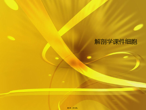 解剖学细胞(共10张PPT)