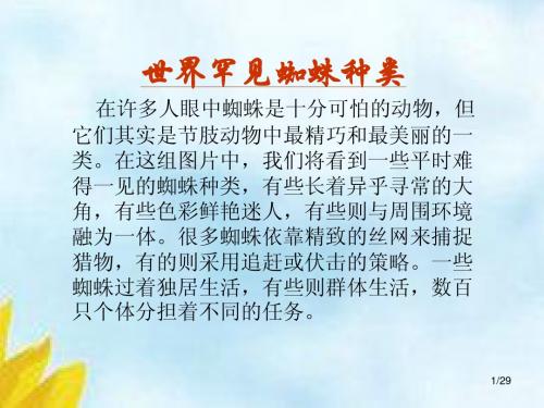 世界罕见蜘蛛种类