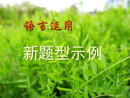 高三语文复习语言运用新题型课件 (共62张PPT)