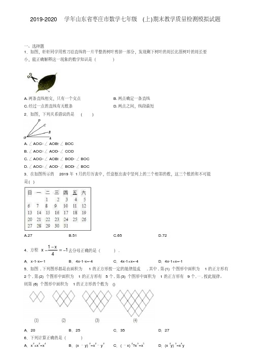 2019-2020学年山东省枣庄市数学七年级(上)期末教学质量检测模拟试题
