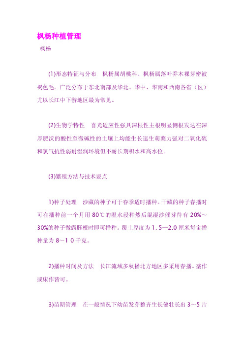 枫杨种植管理