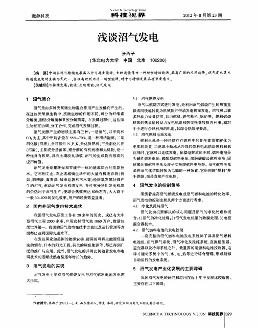 浅谈沼气发电