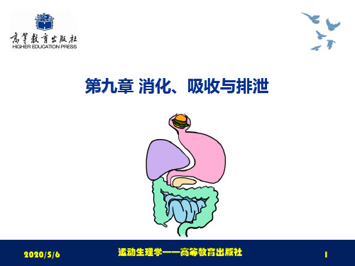 第9章  消化、吸收与排泄