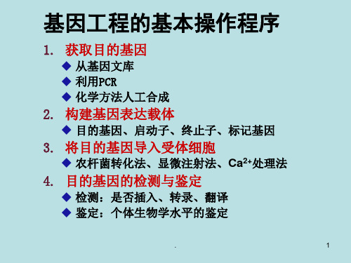 基因工程的应用最新ppt演示课件