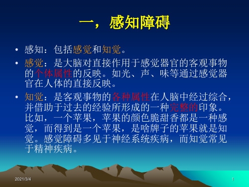 常见的精神症状ppt课件