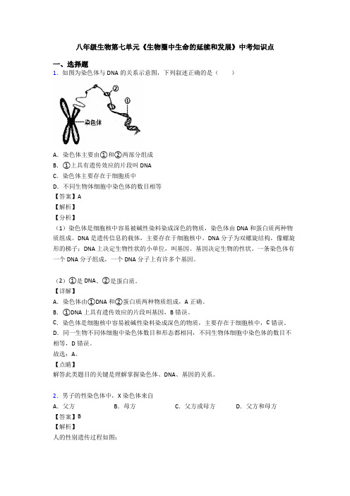 八年级生物第七单元《生物圈中生命的延续和发展》中考知识点