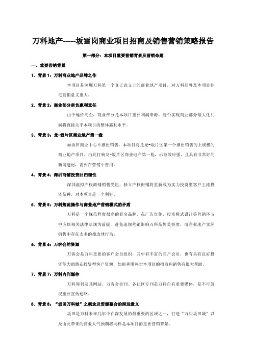 商业项目招商及销售营销策略报告