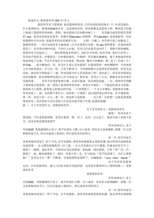 篮球迷哥哥(800字)作文