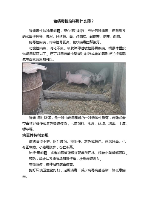 猪病毒性拉稀用什么药？