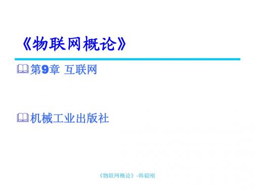 《物联网概论》第9章 互联网