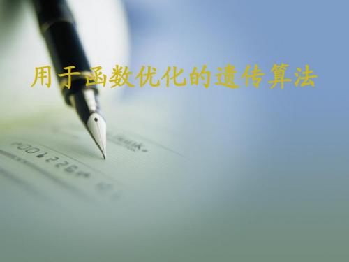用于函数优化的遗传算法的报告