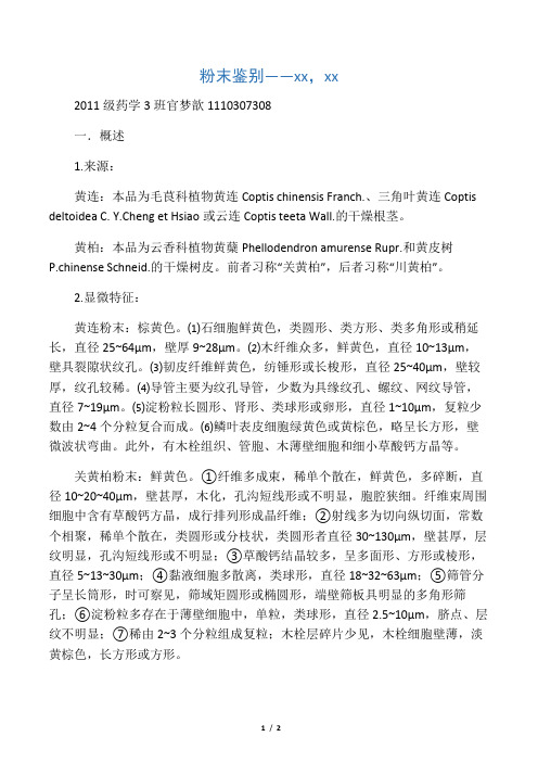 生药学 黄连黄柏的粉末鉴别