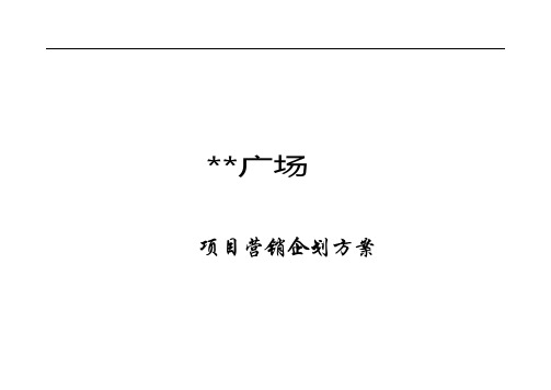 汇金广场-项目营销企划方案