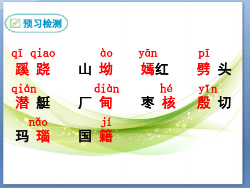 【苏教版】：《枣核》ppt课件 精致获奖课件