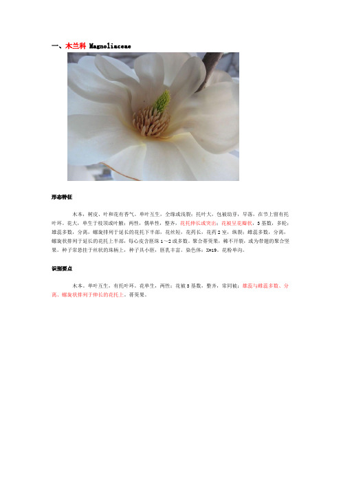 植物科属花公式花图式