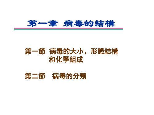 病毒学课件-病毒的结构