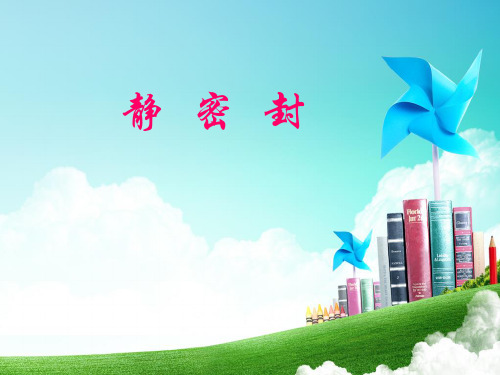 静密封管理规定.ppt