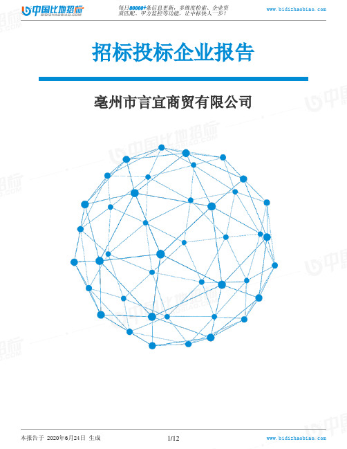 亳州市言宜商贸有限公司-招投标数据分析报告