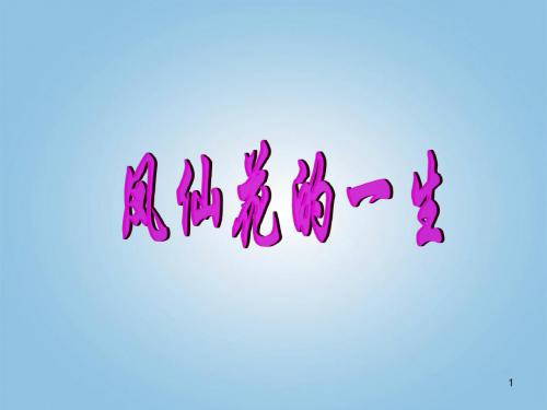 三年级科学下册凤仙花的一生ppt课件