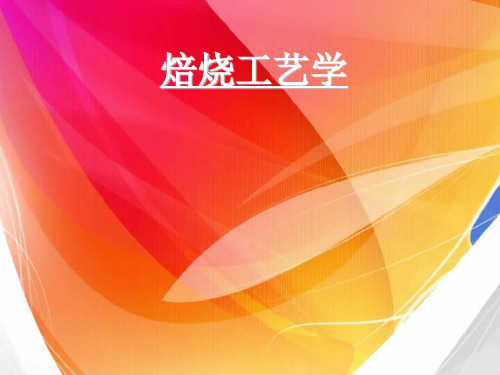 焙烧工艺学