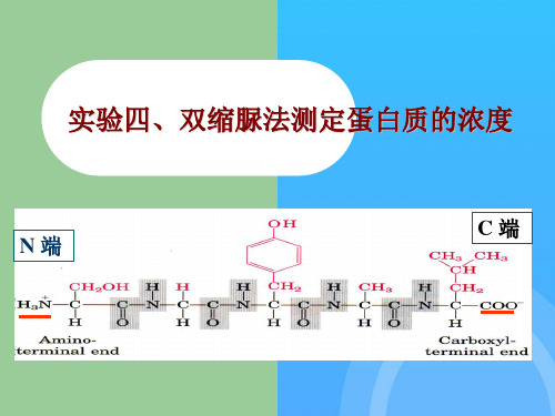 经典蛋白含量测定方法比较及双缩脲法实验步骤简介优秀PPT