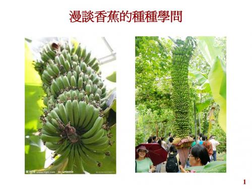 小常识-漫谈香蕉