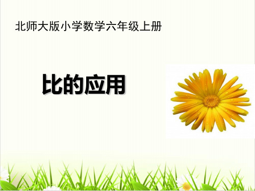 小学数学北师大版ppt《比的应用》优质ppt课件1