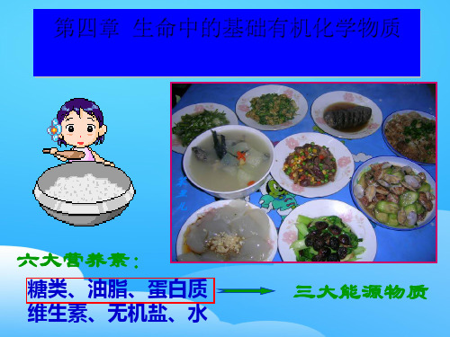 人教化学选修5第四章第一节 油脂(2)