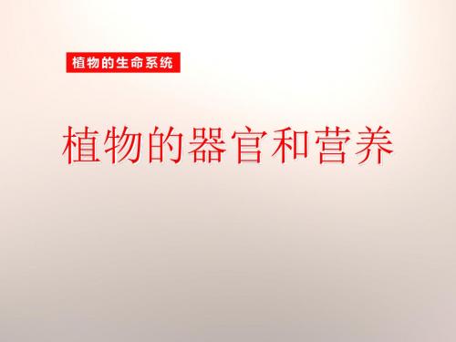 《植物的器官和营养》植物的生命系统PPT课件
