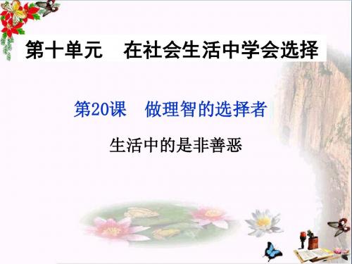 生活中的是非善恶PPT优秀课件2 鲁教版(共22张)