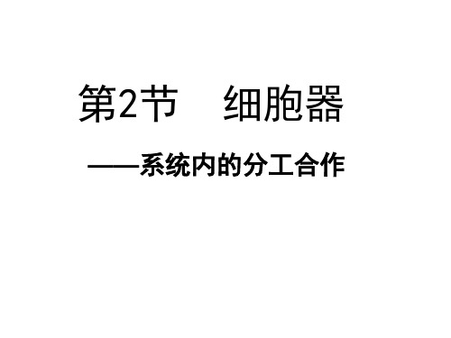 生物必修一第一轮复习细胞器