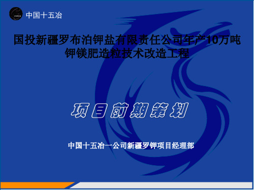 新疆罗钾项目年产10万吨硫酸钾镁肥造粒技改工程前期策划