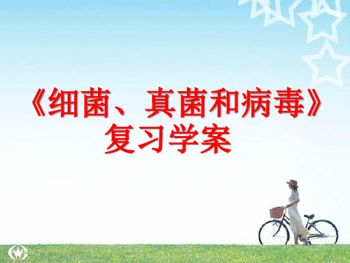 生物中考细菌、真菌和病毒ppt5(复习) 人教版