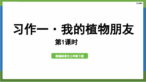 习作指导：《我的植物朋友》作文 PPT课件