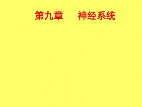动物生理学第九章神经生理1-精品文档