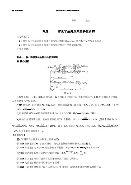高三化学二轮复习专题十一常见非金属极其重要化合物备考资料