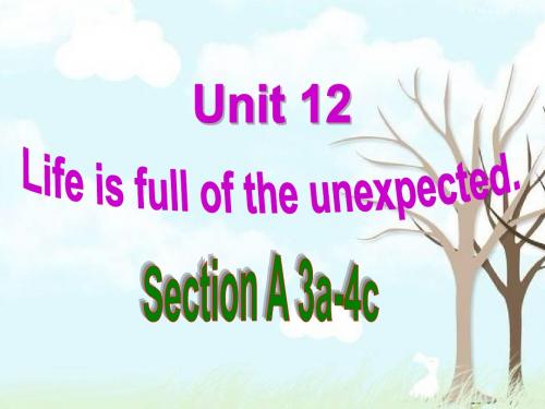 九年级 英语 unit12 Life is full of the unexpected. Section A (3a-4c)