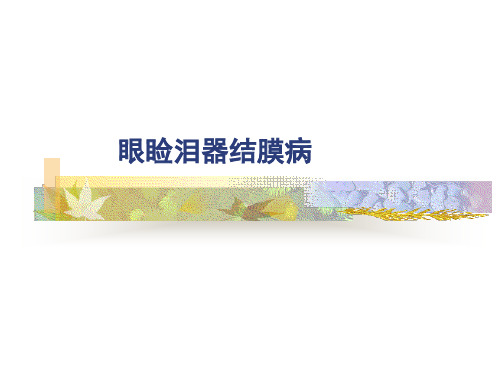 眼睑泪器沙眼