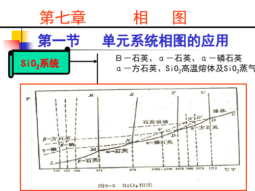 第七章相图-资料