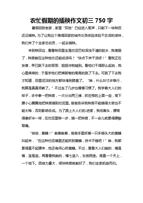 农忙假期的插秧作文初三750字