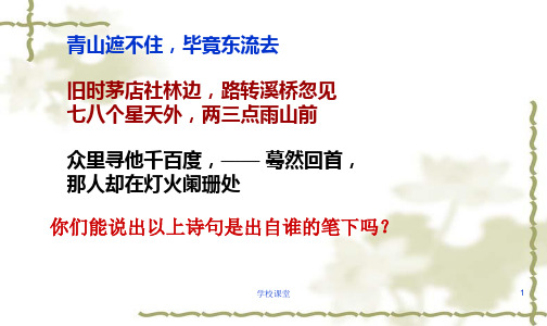 《辛弃疾词两首》课件ppt(讲课适用)
