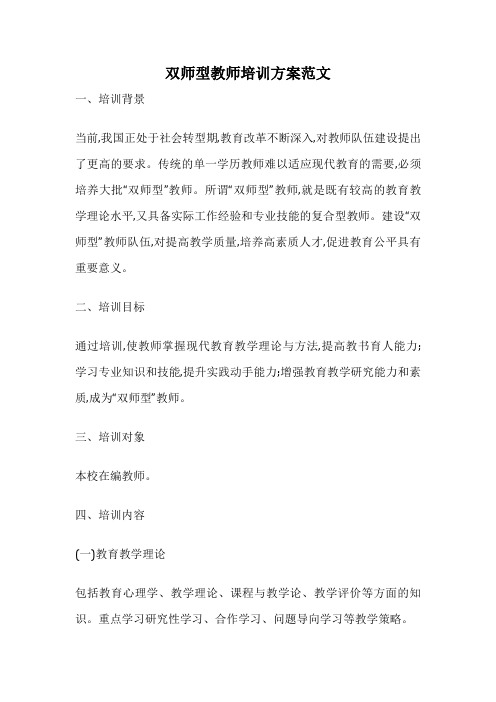 双师型教师培训方案范文