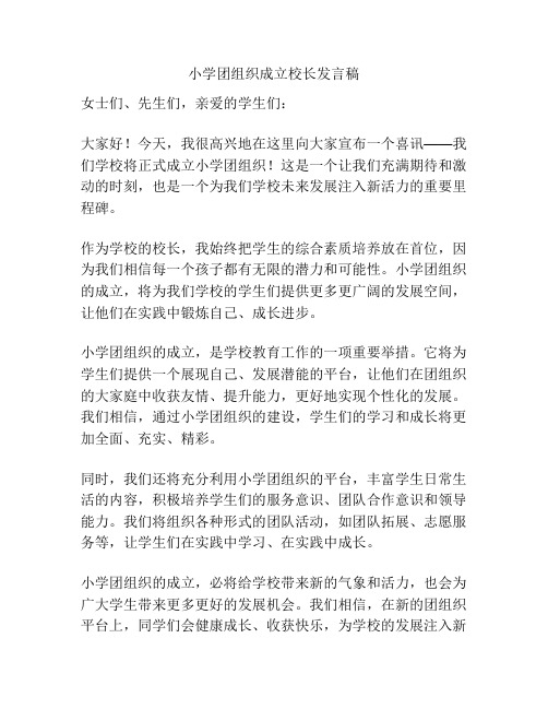 小学团组织成立校长发言稿