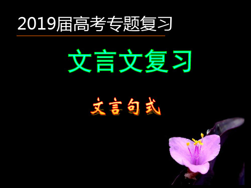 《文言文复习之文言句式》课件(共38张)