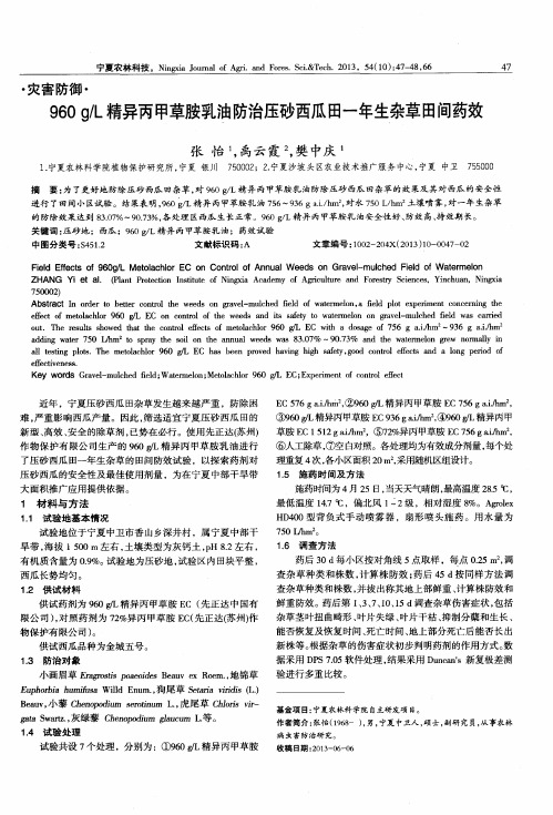 960g／L精异丙甲草胺乳油防治压砂西瓜田一年生杂草田间药效