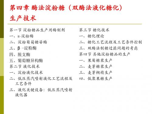 第四部分酶法淀粉糖双酶法液化糖化生产技术教学-