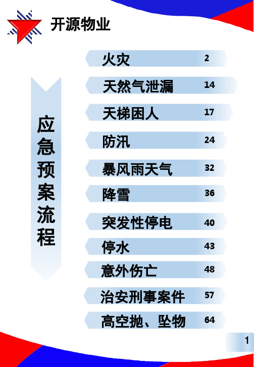 (A4纯内容版)应急预案作业指导书