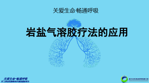 岩盐气溶胶疗法的应用课件