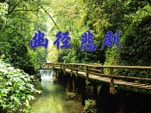 幽径悲剧- 优秀PPT课件3